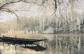 Winter  Lake