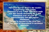 Great Barrier Reef-Australia