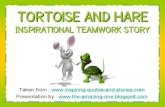 New Story of Hare and Tortoise