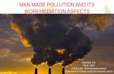 man made pollution and bioremediation aspects