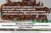 S2.5 Development and evaluation of a maize variety with resistance against