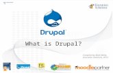 What is drupal enovation solutions