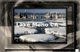 Lake Mono Ca
