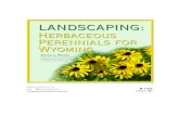 Landscaping: Herbaceous Perennials for Wyoming - University of Wyoming
