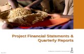 project financial statements and quarterly reporting