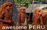 awesome PERU