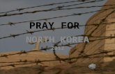 2012 pray for north korea