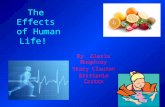 Effects of Different Factors on Human Life