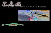Summer 2008 Friends of Nevada Wilderness Newsletter