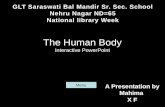 Human body by mahima
