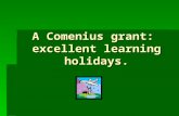 A Comenius Grant