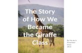 Giraffe story   no names