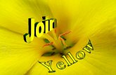 Join yellow