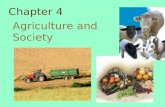 Chapter 4 Notes-Agriculture