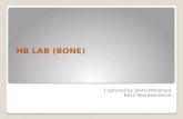 Hb lab (bone)