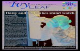 The ivy leaf, volume 1, issue 43