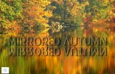 Mirrored autumn (v.m.)
