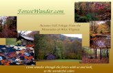 West Virginia Fall Foliage Colors