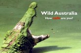 Wild Australia - How safe are you?