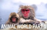 Animal World Part 1 (Pp Tminimizer)