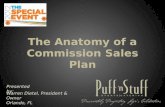 Ps 12 tse_anatomy of a commission sales plan