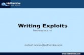 Nethemba - Writing exploits