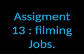 Assignment #13: Job Task