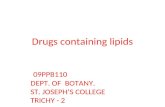 Drugs containing lipids