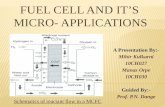 Fuel cells and their micro applications