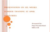 Presentation on six weeks summer training at apar