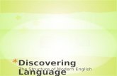 Discovering Language