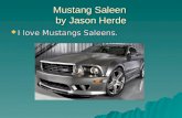Mustang Saleen