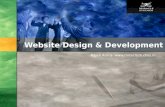 Website Design and Development Company |  Website Designing Company  |  Web Development Agency India