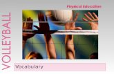 Volleyball Vocabulary 1º ESo Secciones
