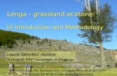 Lenga - grassland interaction (1)