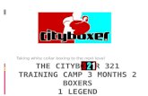 Cityboxer 321 Training Camp