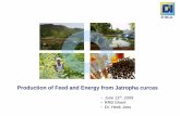 Production of Feed and Energy from Jatropha Curcas