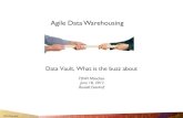 Tdwi   agile data warehouse - dv, what is the buzz about