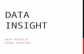 Data insight review