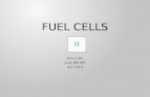 Cook fuel cell presentation