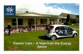 Electric Cars: View from the Energy Sector