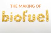 Biofuel process