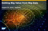 It’s Not About Big Data – It’s About Big Insights - SAP Webinar - 20 Aug 2013 - PDF