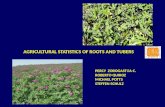 Agricultural statistics of roots and tubers