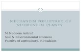 Plant transport,,,, nadeem ashraf.jarpal