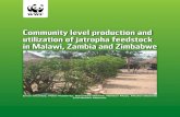Community Level Production and Utilization of Jatropha Feedstock in Malawi, Zambia and Zimbabwe