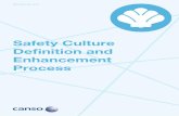 Safety Culture Definitions and Enhancement Process
