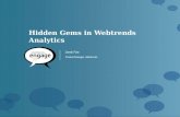 Discover the Hidden Gems in Webtrends Analytics