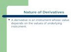 Ifm   derivatives 01[1].03.07