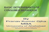 Basic determinants of consumer behaviour